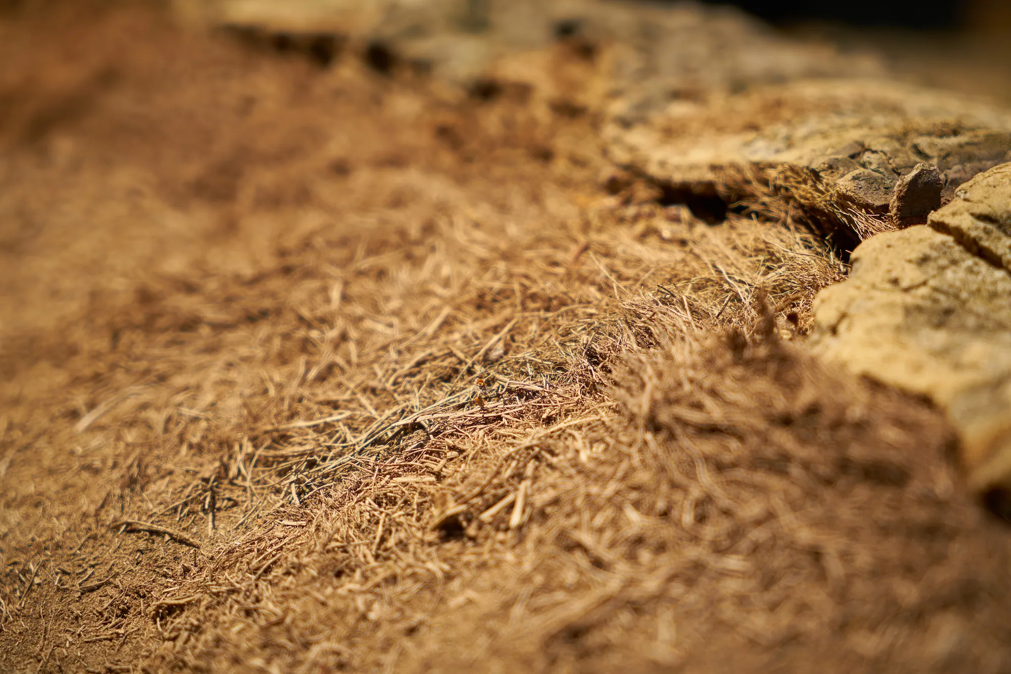 close-up-scraps-wood (1)